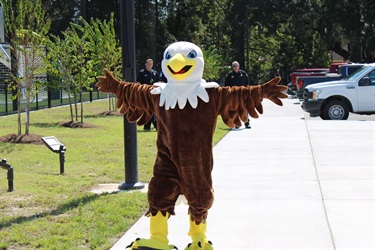 Eagle-land.jpg