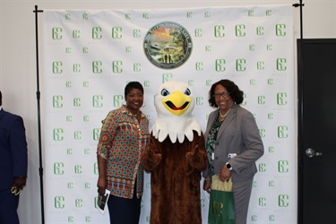 ve-lynette-eagle.jpg
