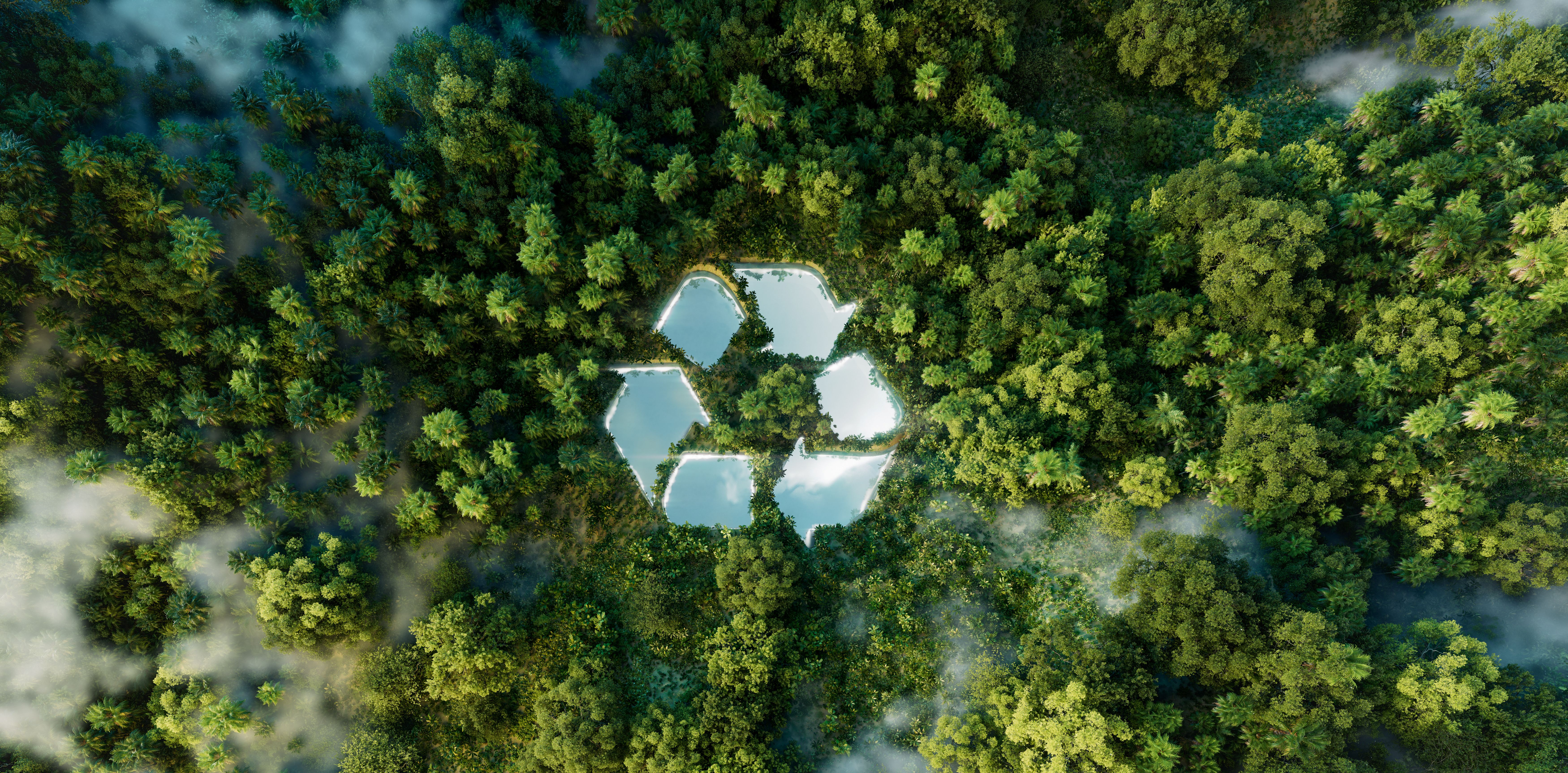 3-Environment-Sustainability.jpg