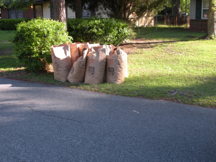Dry trash in paper bags on curb